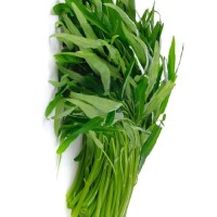 Water Spinach ( Kangkong)