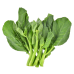 Chinese Brocoli (Gai Lan)
