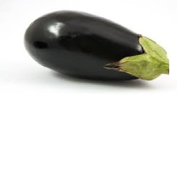 Eggplant - Black beauty