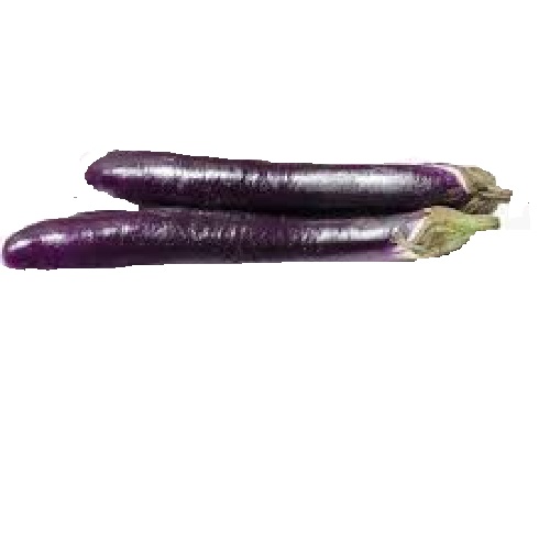 Eggplant -Long Black