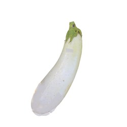 Eggplant - white