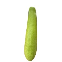 Bottle Gourd (Lauki) short