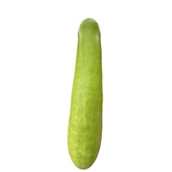Bottle Gourd (Lauki) short