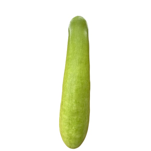 Bottle Gourd (Lauki) short