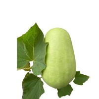 Bottle Gourd (Lauki) round