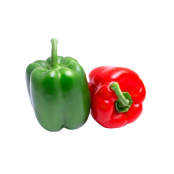 Chili Red Capsicum